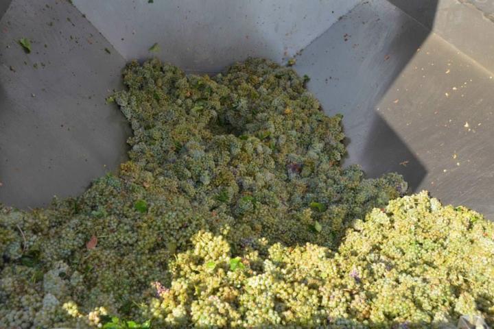 wine tasting tour in portugal