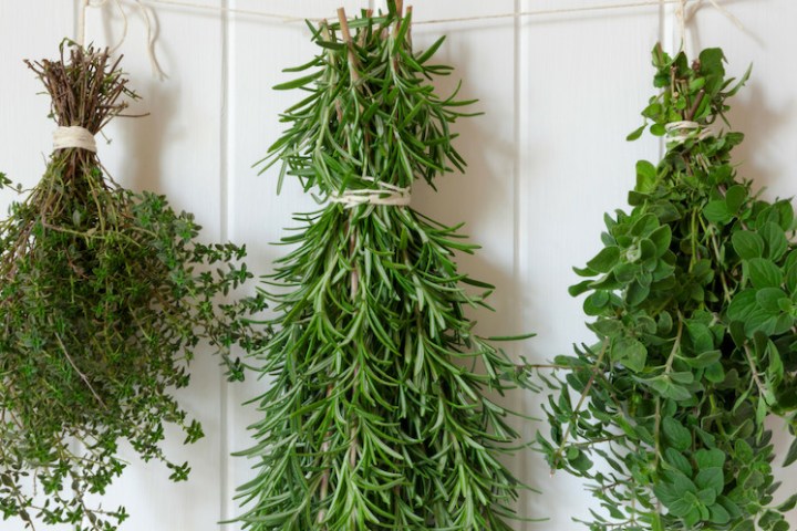 organic herbs tour in lisbon