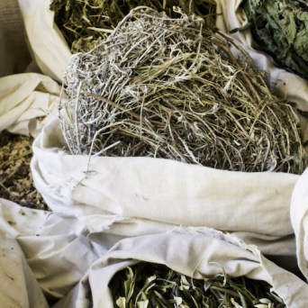 Lisbon tours organic herbs farm