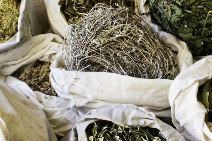 Lisbon tours organic herbs farm