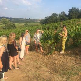 visit and Wine tasting tour in lisbon