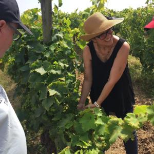 Lisbon wine tasting tour