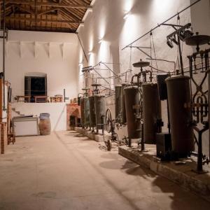 Wine tasting tour in lisbon