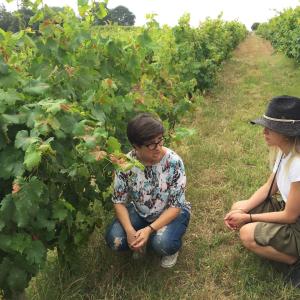 lisbon Wine tasting tour