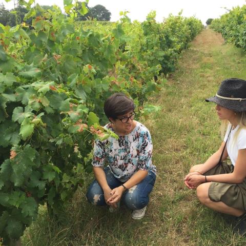 lisbon Wine tasting tour