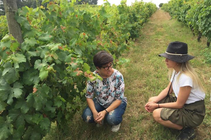 Wine tasting in a 19th Century winery