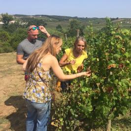 visit and Wine tasting in lisbon