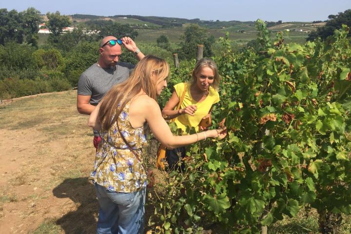 Wine tasting in a 19th Century winery