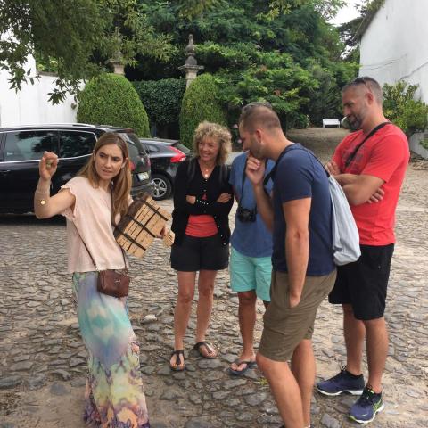 Lisbon tours with wine tasting