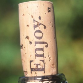 wine tasting in portugal