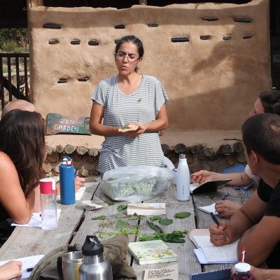 Yoga Retreat portugal