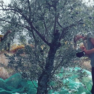 yoga retreat portugal