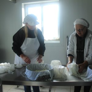 a man and woman cutting a cake