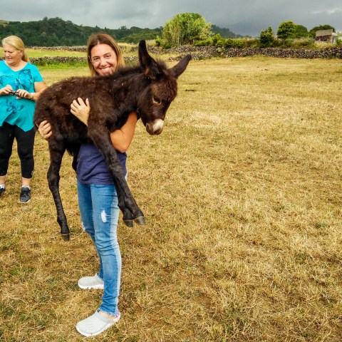 best tours in portugal