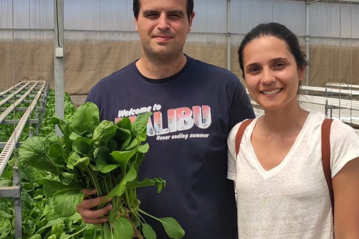 a smiling man and woman posing for a picture