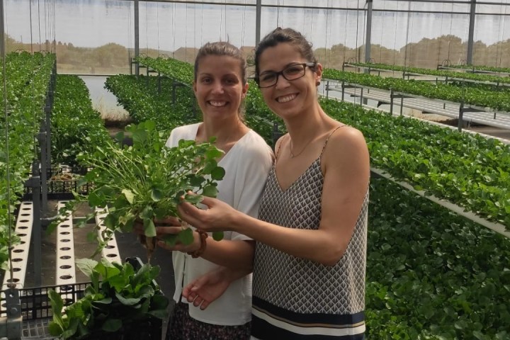a woman standing in a garden