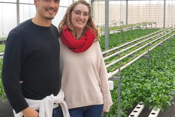 a man and a woman standing in front of a fence