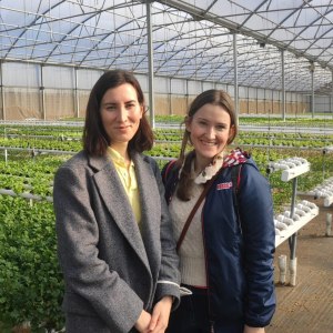 a person standing in front of a fence