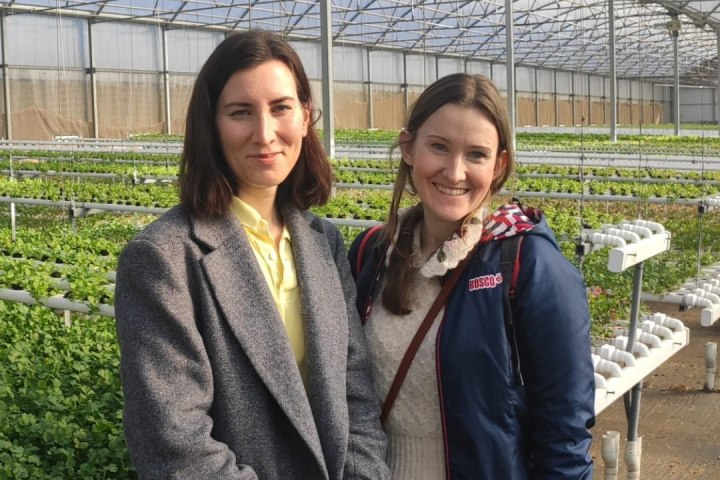 a person standing in front of a fence