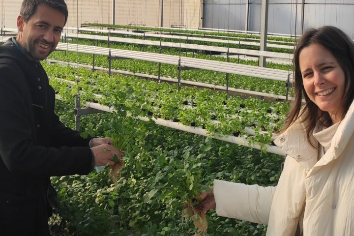 a woman standing next to a fence
