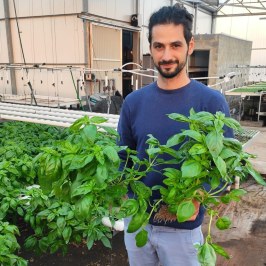 a person holding a plant in a garden