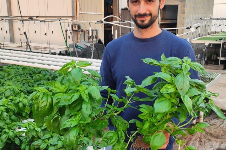 a person holding a plant in a garden