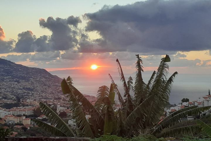 banana farm tour Madeira