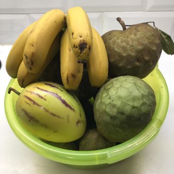 banana farm tour Madeira