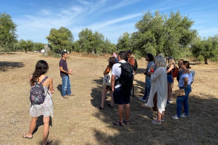 a group of people standing in a field