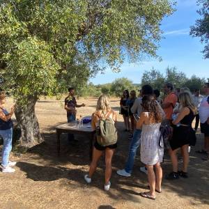 a group of people standing next to a tree