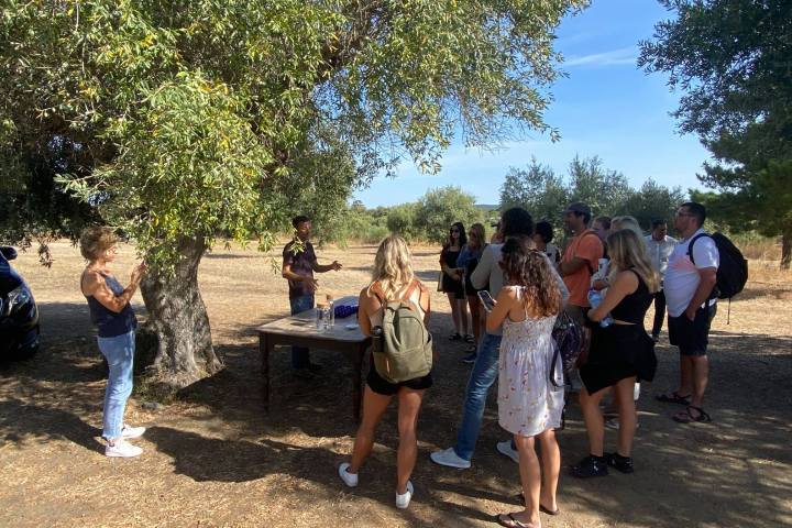 a group of people standing next to a tree