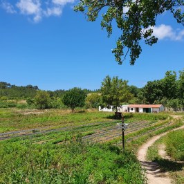 organic farm tour