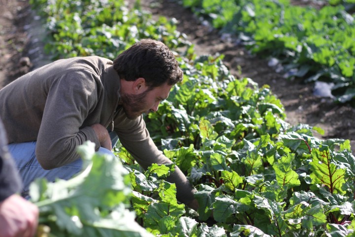 organic farm tour