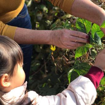 picking up Raspberry