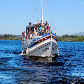 People enjoying a tour in a boat