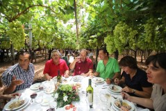 People enjoying a lunch in a winery