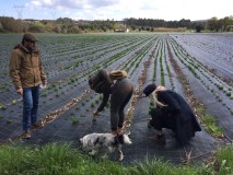 Fresh herbs farm tour