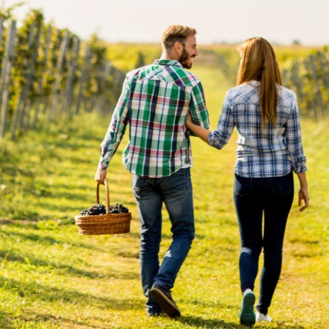 A couple walking in a farm