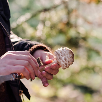 a person holding a knife