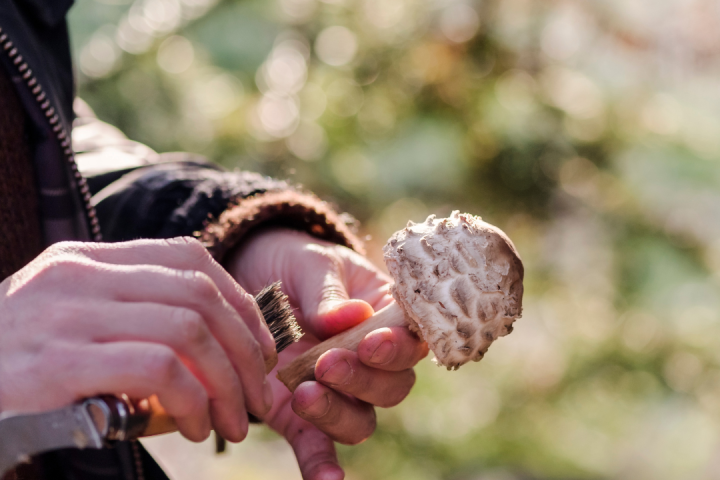 a person holding a knife