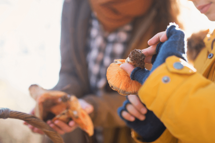 a group of people taking a selfie