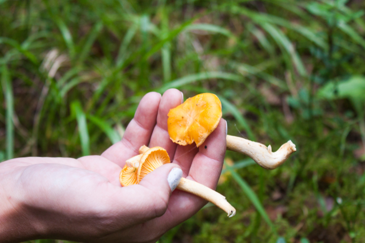 a hand holding a half eaten apple