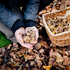 a group of people sitting on a rock