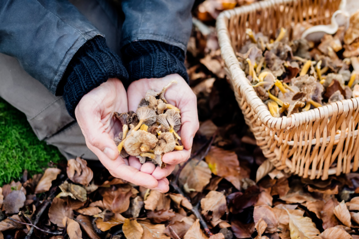 a group of people sitting on a rock