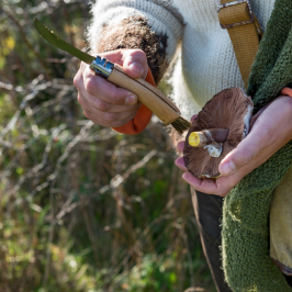 a hand holding a cell phone