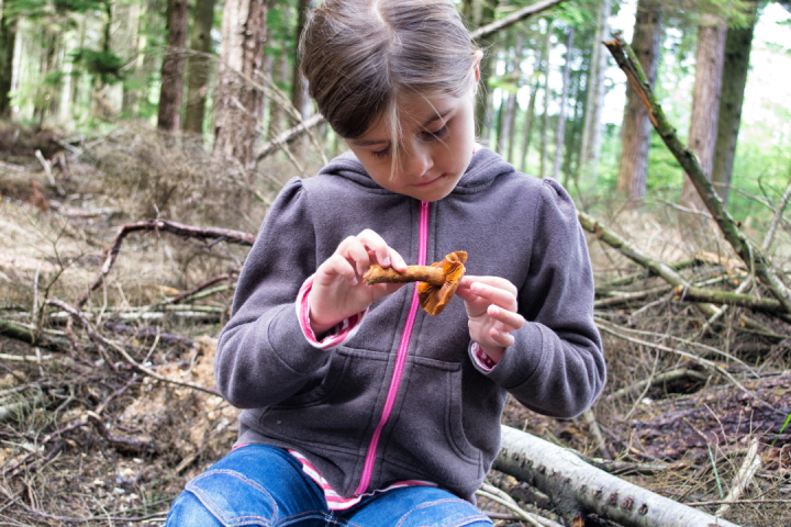 a young boy sitting next to a forest