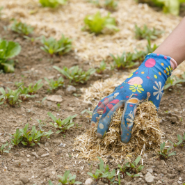 permaculture farm tours