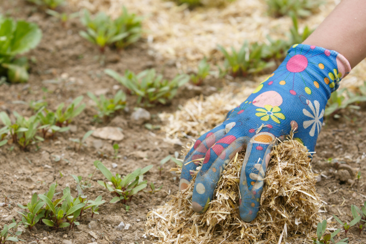 permaculture farm tours