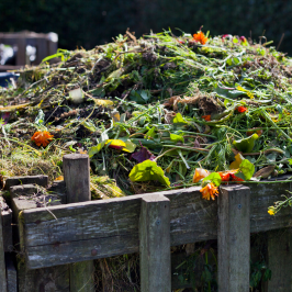 permaculture farm tours