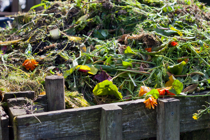 permaculture farm tours